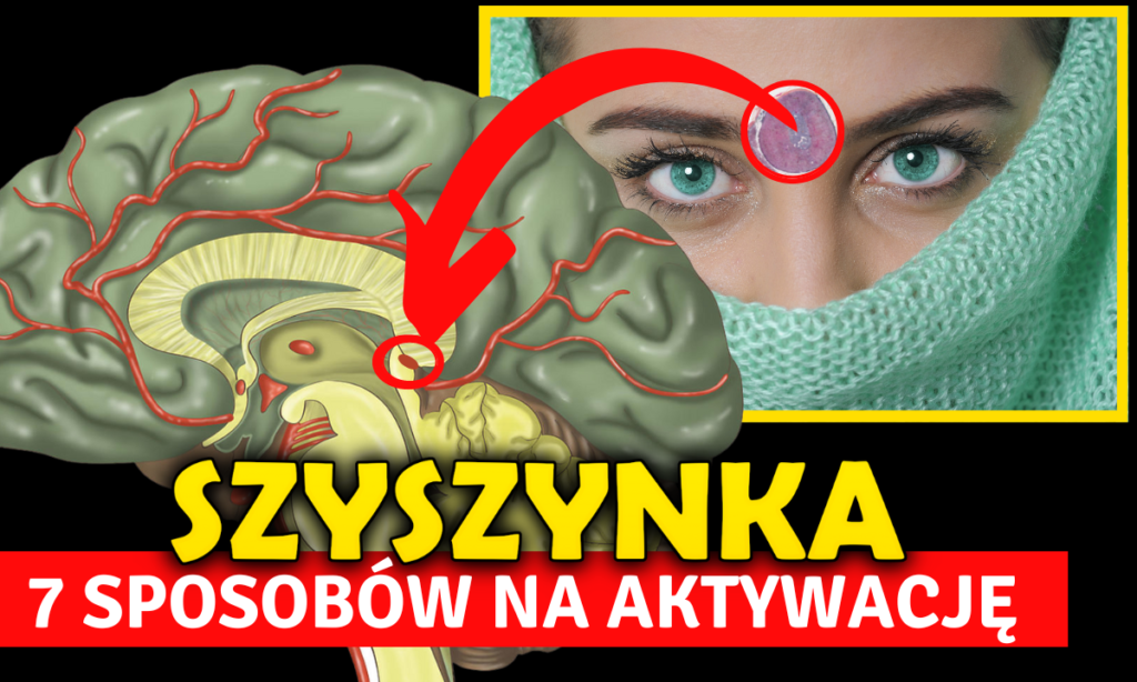 szyszynka