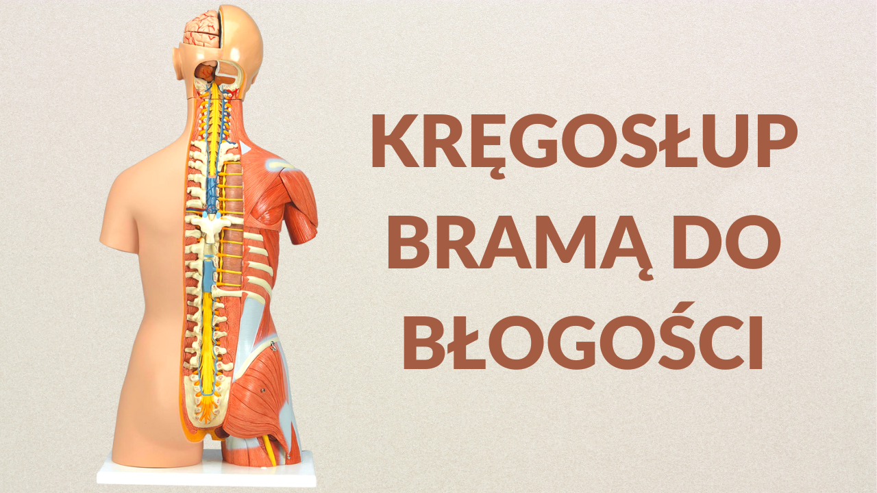 kręgosłup
